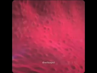 free танос начал кричат как похотливая сучка после того как человек муравей залез в жопу mp4 hd