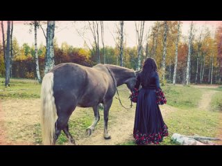 free цыганские танцы цыганские песни ехали цыгане певец сергей тарасов цыганский ансамбль заказать hd