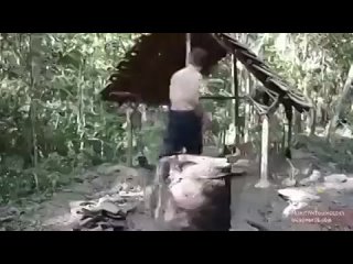 free с такими золотыми руками и квартиру покупать не нужно hd