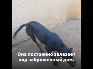 free самая добрая и заботливая мама решила попросить помощи у людей hd