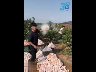 free самая настоящая красивая ферма вышла ну очень мило hd