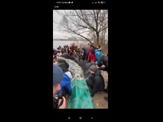 free зарыблевание днепра в гидропарке приятно поучаствовать в этом мероприятии hd