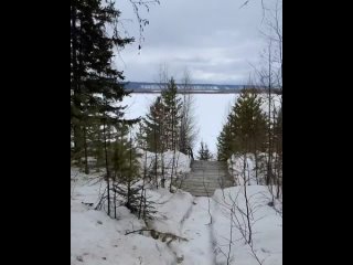 free в последнее время стараюсь исполнять свои желания hd