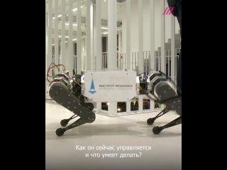 free в россии разработали первого робота молодые что он умеет и почему это важно hd