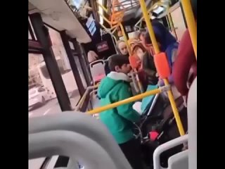 free товарищи без гражданства пытались разжиться чужими кошельками в питерском автобусе но их спалили hd