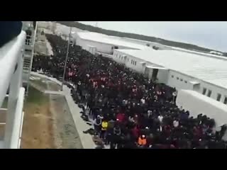 free жесть на стройке с мигрантами амурская область город свободный стройка турецкой компании ренессанс холдинг hd