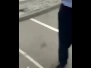 free женщина показала средний палец не тем людям и нарвалась на неприятности hd