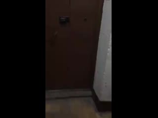 free позор полицаям вместо преступников начали бегать за старушками и отбирать ягоды hd