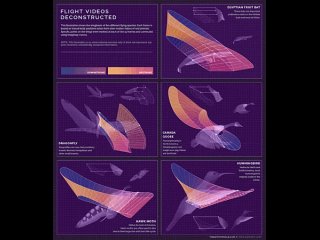 free birds wing flapping reference source 1 source 2 source 3 source 4 source 5 source 6 hd