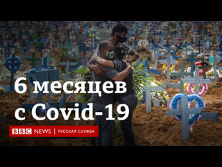 free коронавирус шесть месяцев которые изменили мир hd