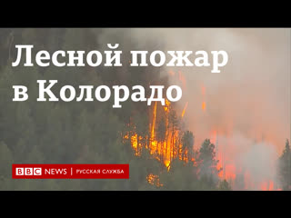 free лесной пожар в колорадо самый большой в истории штата hd