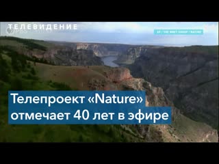 free популярная тв программа природа на канале pbs отмечает свое 40 летие hd