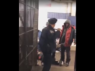 free борцевание сшановского эцилоппа с хулиганистыми метрополитеновыми афроамериканцами их нравы моя планета hd