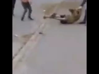 free ромалы борцанули бандеровцев на волыни от полного отодрания последних уберегли самостийные эцилоппы их нравы hd