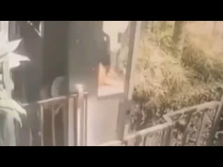 free на бали стеклянный лифт с пассажирами внутри сорвался с высоты 90 м и разбился hd