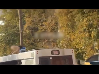 free абсолютно голая женщина с утра пораньше исполняла нечто необычное на глазах у жителей кирова hd