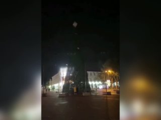 free пока в домах на ёлки пытаются забраться коты в геленджике на городскую ёлку залезла алкогеленджичанка hd