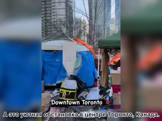 free а это уютная обстаноа в центре торонто канада hd