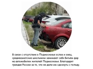 free в связи с отсутствие в подмосковье ослов и овец среднеазиатские школьники занимают себя битьём фар на автомобилях hd