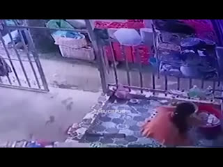 free женщина скрываясь от полиции забежала в чужой дом и стала делать вид что моет посуду hd