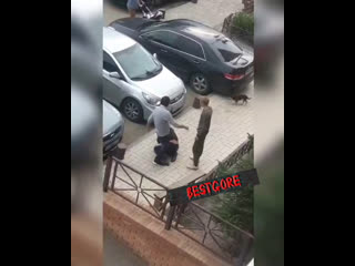 free семена лагоды 41 как слышно из разговора мужик спёр велосипед и чувак решил с ним разобраться лично hd