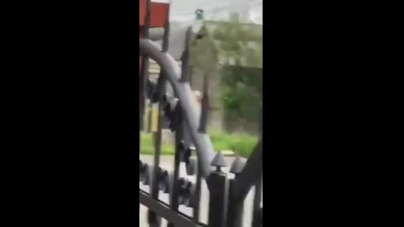 free в салехарде пара занялась сексом возле памятника hd