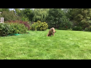 free deepthroat img 0107 hd