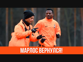 free новое поле и возвращение марлоса репортаж дарьи ракицкой hd