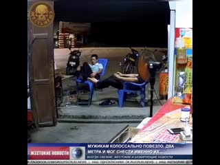 free мужикам колоссально повезло два метра и мог снести именно их mp4 hd