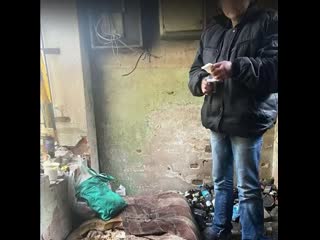 free зоозащитники в иваново случайно наткнулись на новорожденного и его мать в заброшенном доме hd
