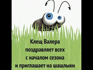 free из за ранней весны на урале проснулись клещи россия 1 hd