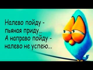 free юмор позитив веселые цитаты анекдоты для настроения смех да и только hd