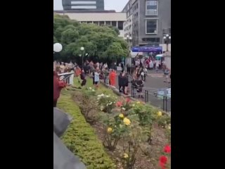 free здание парламента в новой зеландии полностью оккупировали протестующие заблокировав все выходы hd