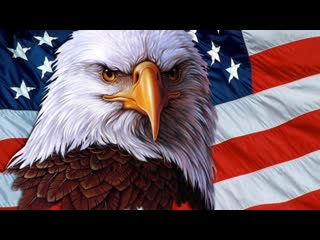 free саня во флориде кремниевая долина очередная дичь usa сша санявофлориде саня во флориде hd