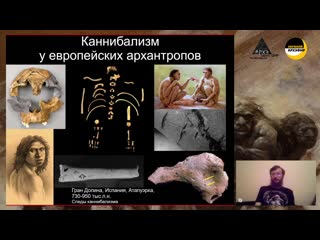 free станислав владимирович дробышевский ночной архэфир агрессия в древности в лекции с в дробышевского hd