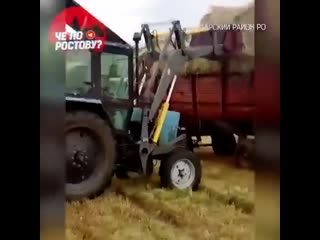 free чеченцы угрожают молодые фермеру поймавшего их на краже hd