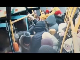free полицейские задержали профессионального щипача из забайкальского края за кражу айфона в автобусе hd