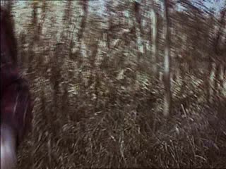 free ведьма из блэр курсовая с того света фильм ужасов триллер 1999 hd