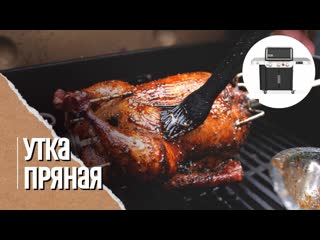 free пряная утка на вертеле в газовом гриле weber genesis 335 праздничный рецепт hd