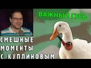 free смешные моменты с куплиновым untitled goose game смешная нарезка dimaron hd