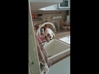 free умоюсьчтобы мамка меня в ванну не потащила hd