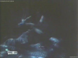 free лариса белогурова эротическая сцена из фильма восточный роман hd