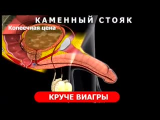 free железная потенция может быть в любом возрасте standup gel лучшее натуральное средство hd