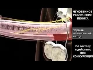 free за месяц член вырос на 5 см причем в ширину тоже стал немного больше hd