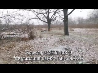 free очень жёсткое видео из херсона где тероборона попыталась устроить засаду на российскую колонну hd