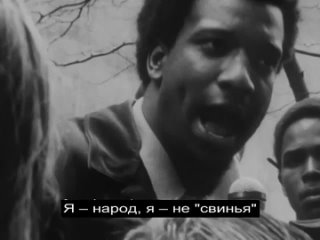 free я не белый или черный я рабочий ч человек я революционер я пролетарий я народ я не свинья i am revolutionary хэмптон hd