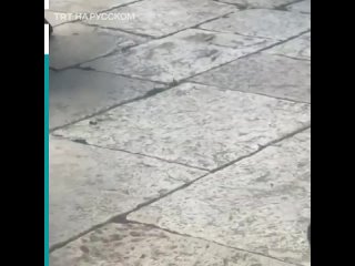 free израильские военные прижали лицом к земле охранника аль аксы hd