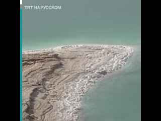 free как выглядит побережье мертвого моря в иордании hd