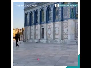 free нападение на журналиста во дворе мечети аль акса hd