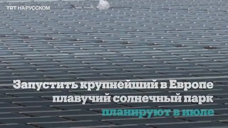 free крупнейший в европе плавучий солнечный парк запустят в португалии hd